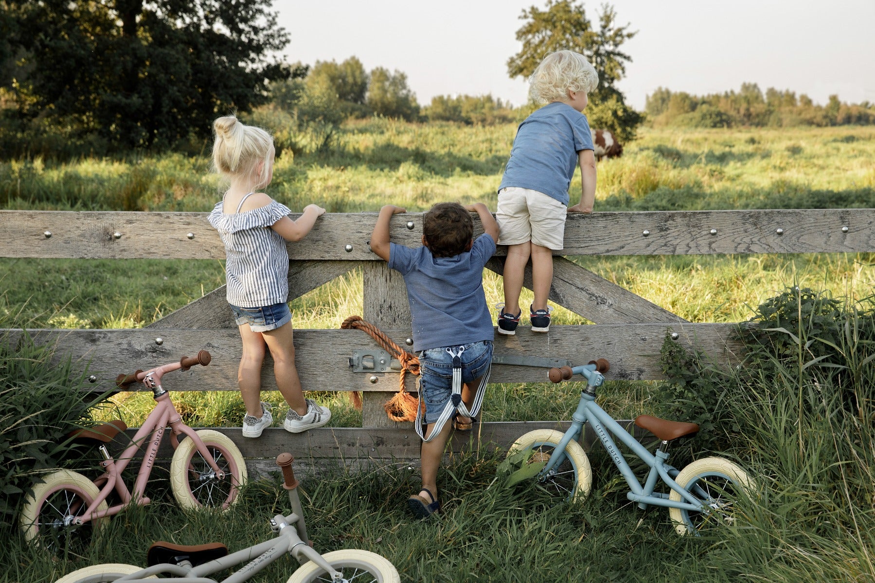 Little Dutch Laufrad – Blue mat