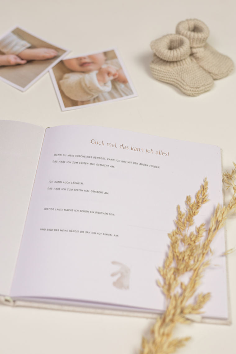 Babybuch 'Mein erstes Jahr'