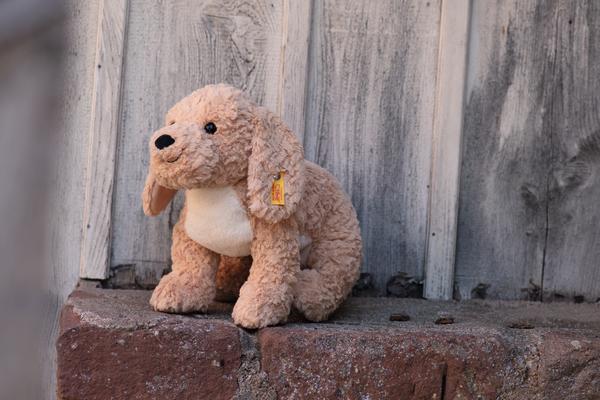 Steiff - Berno Goldendoodle 36 cm